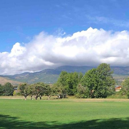 شقة La Cabanita De Llivia, Cerdanya, Puigcerda المظهر الخارجي الصورة